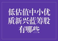 低估值中小优质新兴蓝筹股的潜力与价值