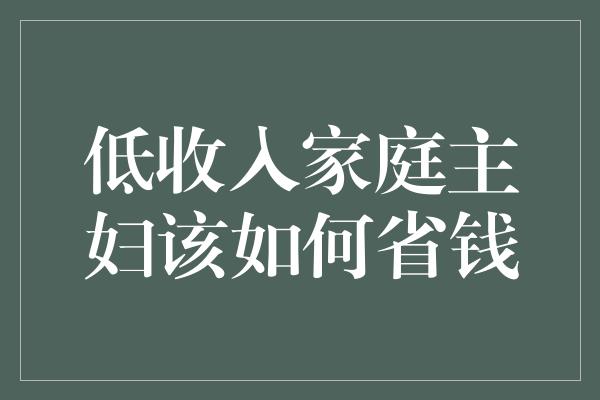 低收入家庭主妇该如何省钱