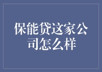 保能贷公司：构建绿色金融桥梁，引领新能源产业发展