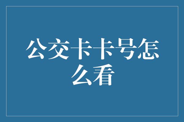 公交卡卡号怎么看