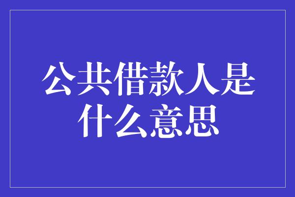 公共借款人是什么意思