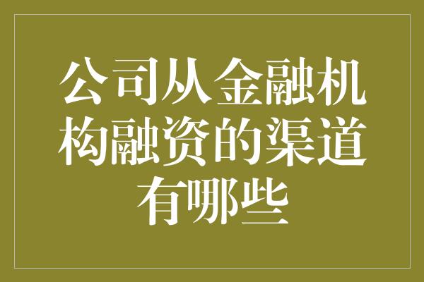 公司从金融机构融资的渠道有哪些