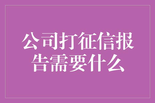 公司打征信报告需要什么