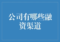 公司有哪些融资渠道：构建多元化的资金来源体系