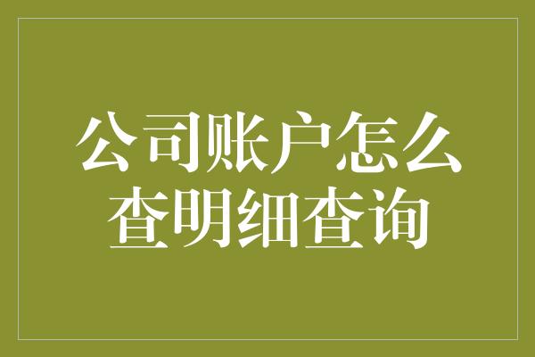 公司账户怎么查明细查询