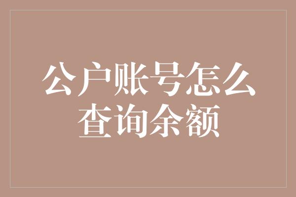 公户账号怎么查询余额