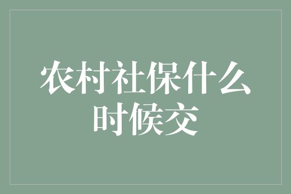 农村社保什么时候交