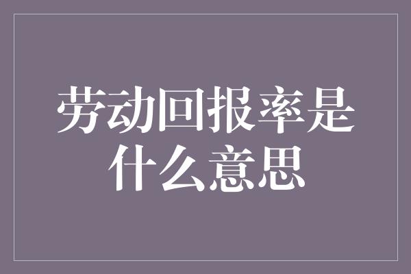 劳动回报率是什么意思