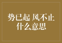 势已起，风不止：时代变革中企业的战略思考