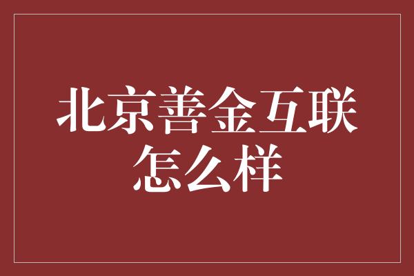 北京善金互联怎么样