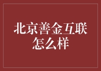 北京善金互联：引领绿色金融发展新篇章