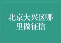 北京大兴区哪家机构能高效地提供个人征信服务？