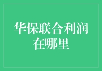 华保联合利润的深层解析与探索