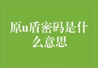 原U盾密码的含义与重要性：信息时代的守护者