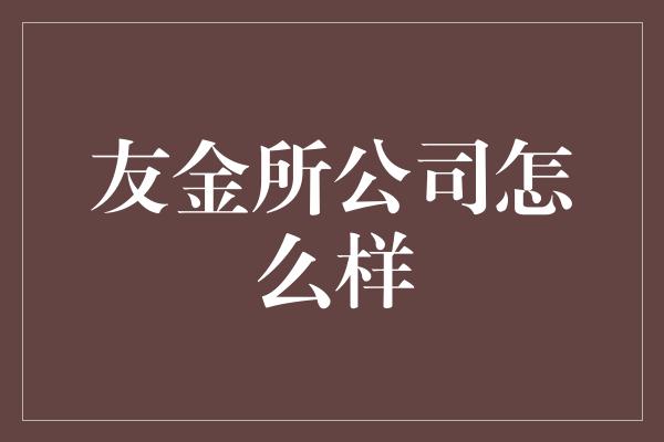 友金所公司怎么样