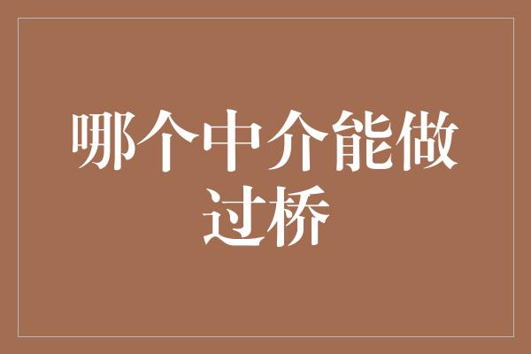 哪个中介能做过桥