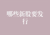 2023年值得关注的新股发行：哪些公司将成为市场焦点？