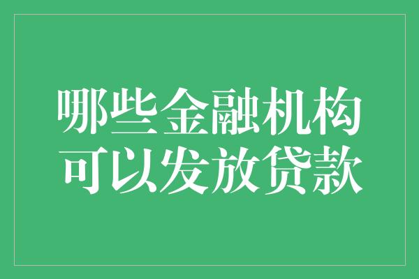 哪些金融机构可以发放贷款