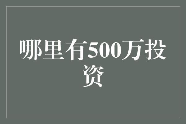 哪里有500万投资