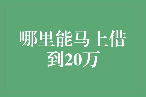 哪里能马上借到20万