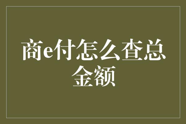 商e付怎么查总金额