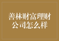 善林财富理财公司——理财市场的深度探索与思考