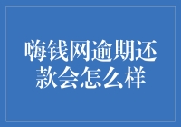 当嗨钱网逾期还款成了年度大戏，你准备好迎接四库全书了吗？