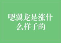 嗯翼龙是涨什么样子的? --- 揭秘投资新趋势