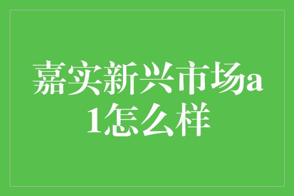 嘉实新兴市场a1怎么样