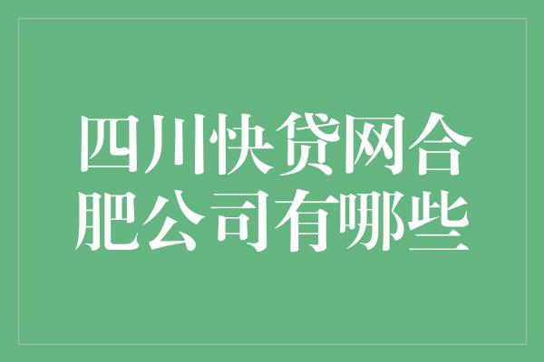 四川快贷网合肥公司有哪些