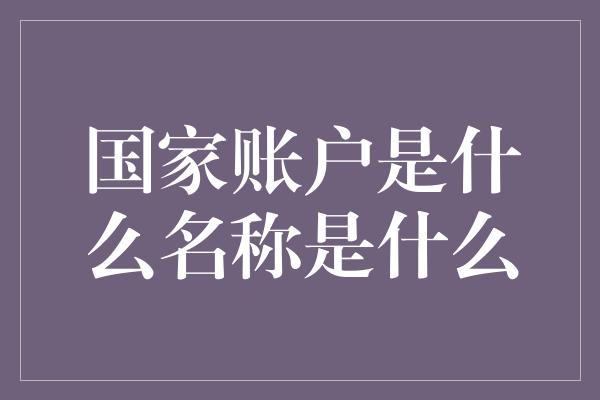 国家账户是什么名称是什么