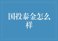 国投泰金：创新驱动的金矿行业领军者