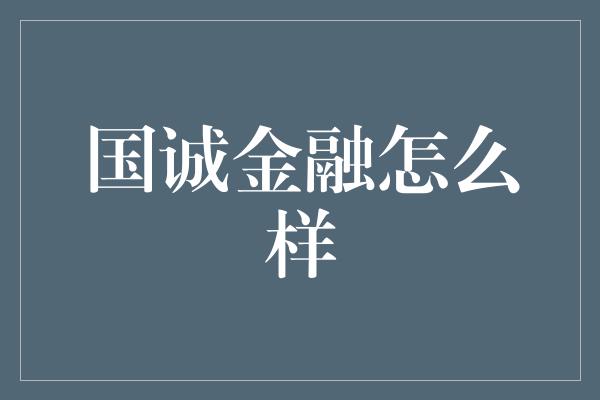 国诚金融怎么样