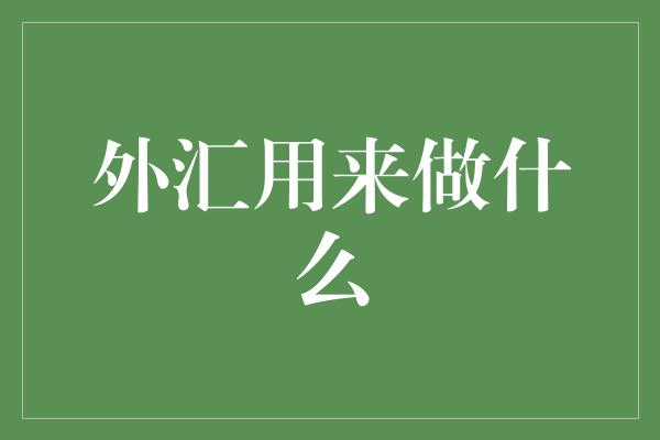 外汇用来做什么