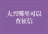 大兴区征信查询途径：便民服务与金融科技的结合