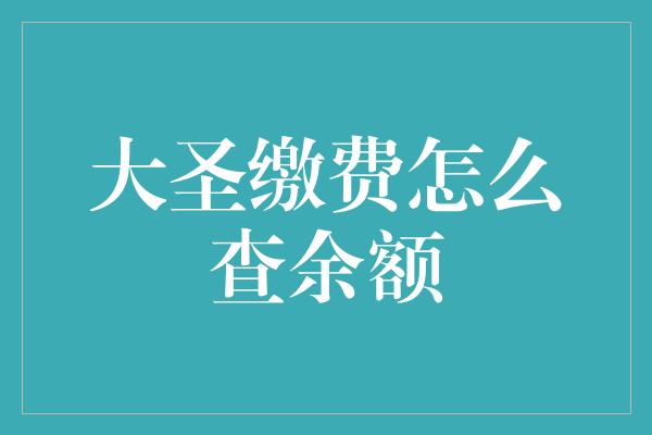 大圣缴费怎么查余额