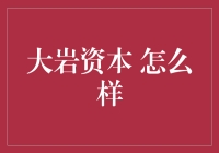 大岩资本：从投资新手到行业老饕的华丽转身