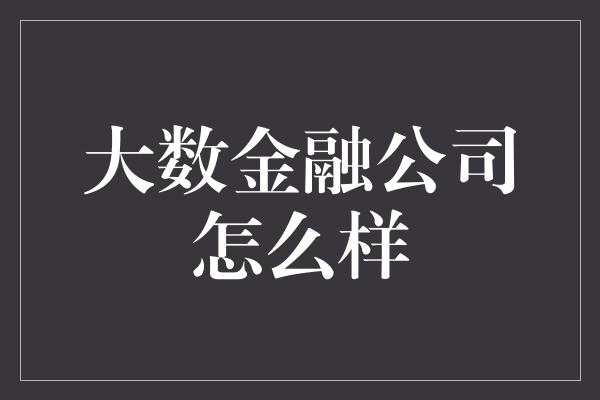 大数金融公司怎么样