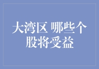 大湾区投资机会：谁最有可能笑傲江湖？