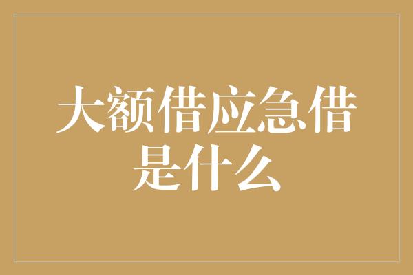 大额借应急借是什么