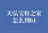 天弘宝粉之家：探索从B端到B1端的升级之旅