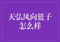 天弘风向篮子：一只跟随市场风向的动态基金投资组合