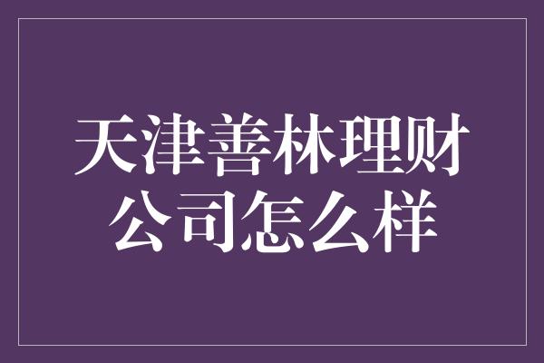 天津善林理财公司怎么样