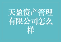 天盈资产管理有限公司：专业理财服务，值得信赖的选择