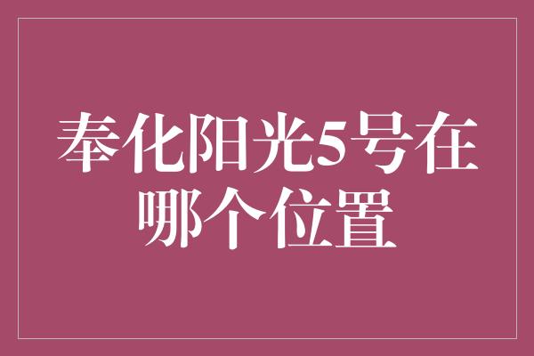 奉化阳光5号在哪个位置