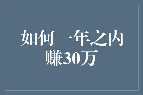 如何一年之内赚30万