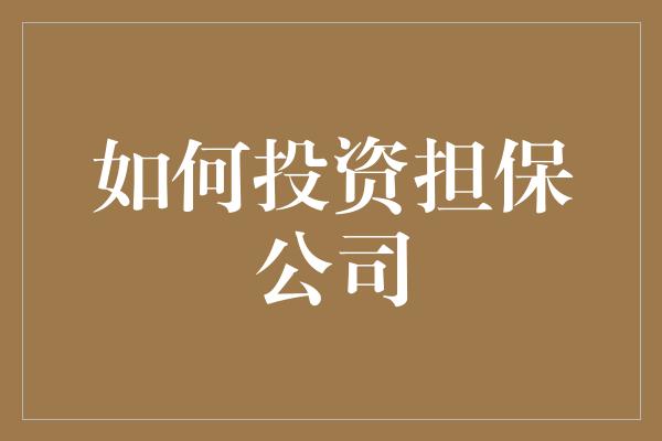 如何投资担保公司