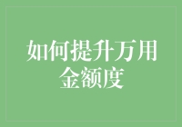 提升万用金额度：当信用卡额度不再只是想要而是必需