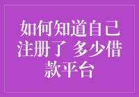 怎样知道我签了多少贷款？