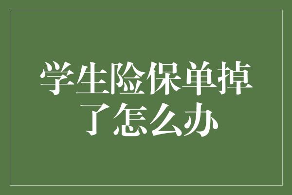 学生险保单掉了怎么办